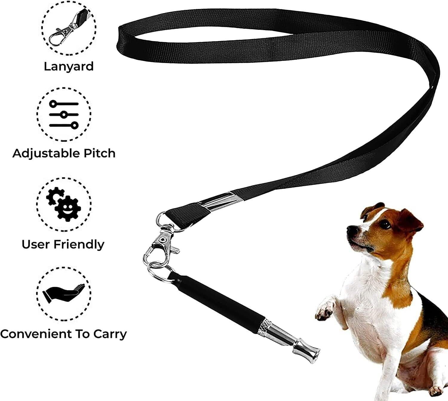 Dog training outlet lanyard